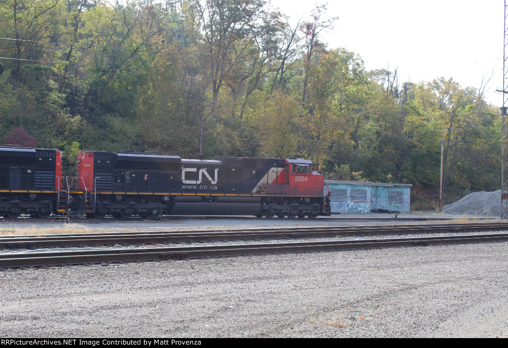 CN 8804